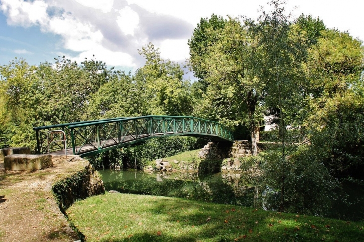 Parc - Azay-le-Rideau