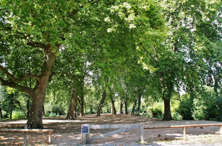 Parc - Azay-le-Rideau