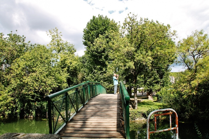 Parc - Azay-le-Rideau