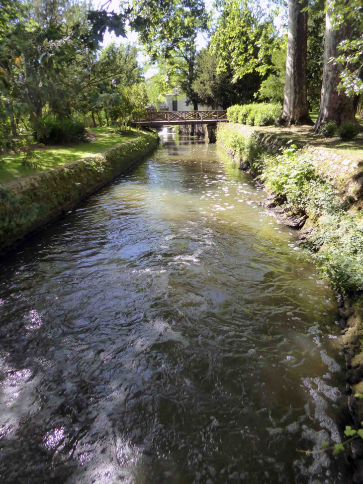 Le parc du château - Azay-le-Rideau