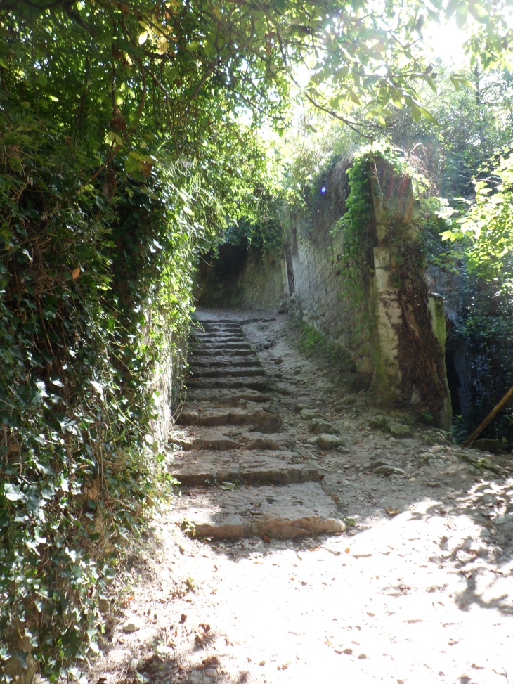 Le chemin vers le point de vue - Candes-Saint-Martin