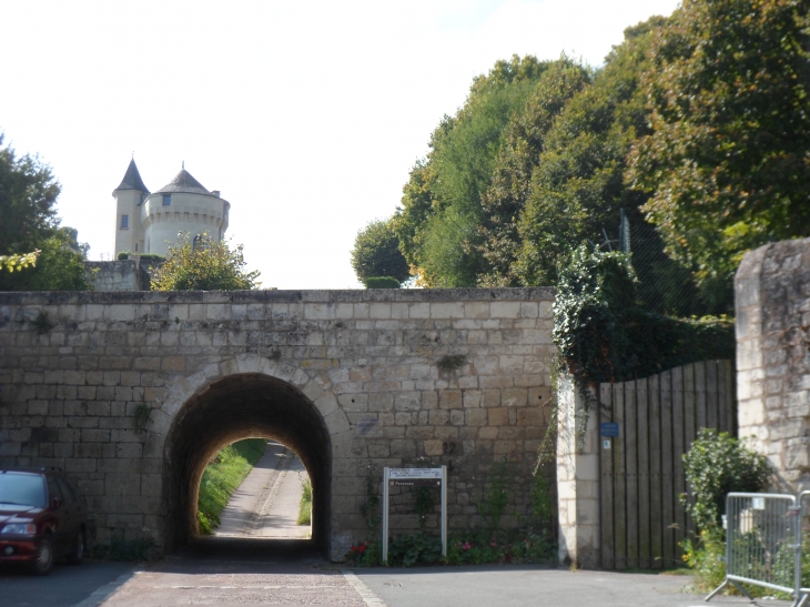 Le pont  - Candes-Saint-Martin