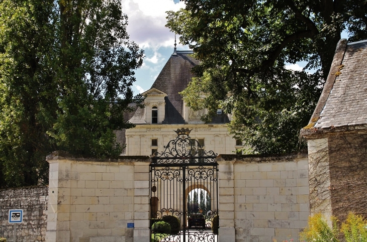 Le Château - Champigny-sur-Veude