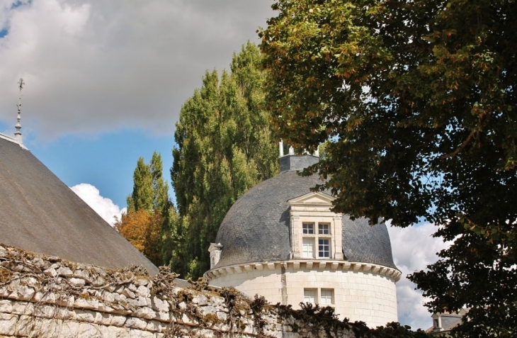 Le Château - Champigny-sur-Veude