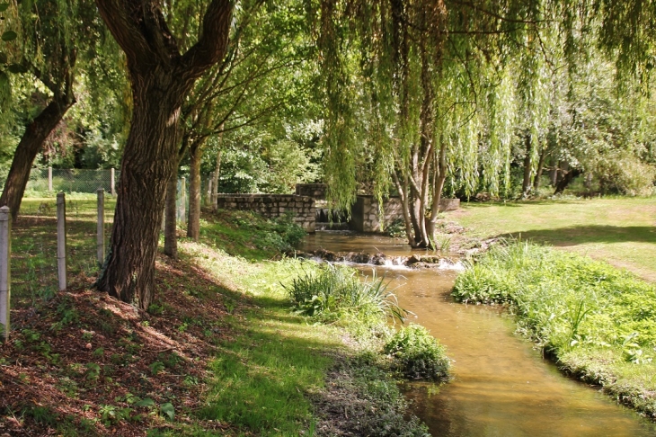 Le Parc - Champigny-sur-Veude