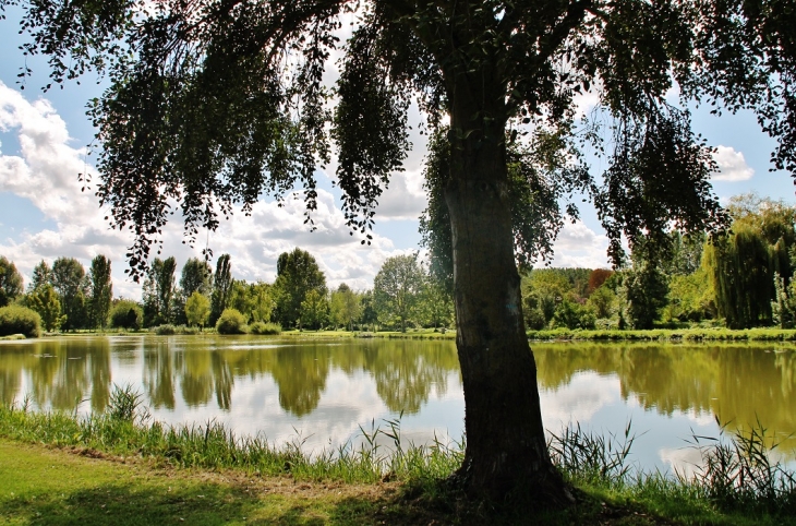 Le Parc - Champigny-sur-Veude