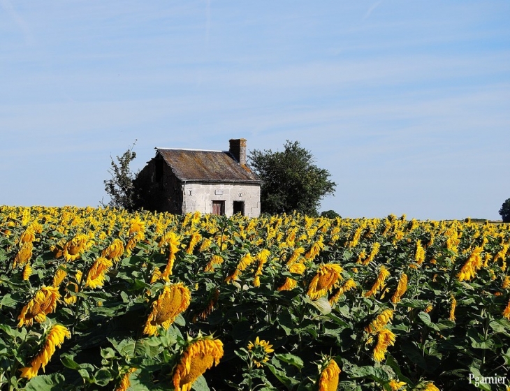 Chemillé sur Dême - Chemillé-sur-Dême