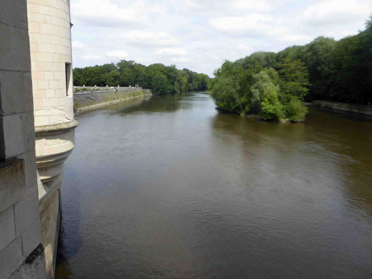 Le château de Chenonceau : le Cher vers l'Est - Chenonceaux