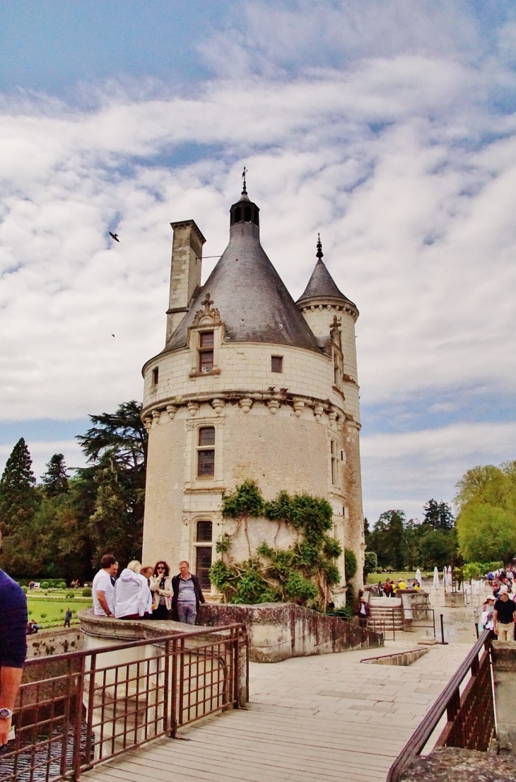 Le Château - Chenonceaux