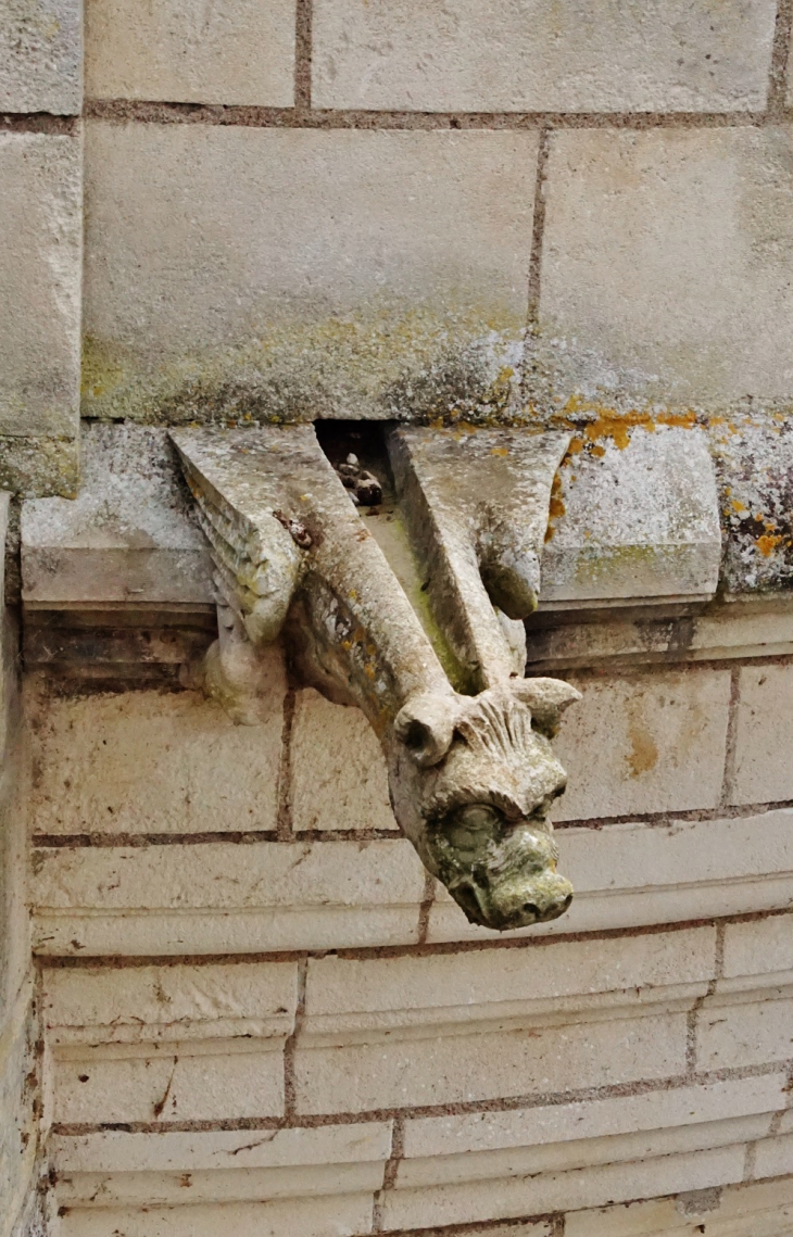 Le Château - Chenonceaux