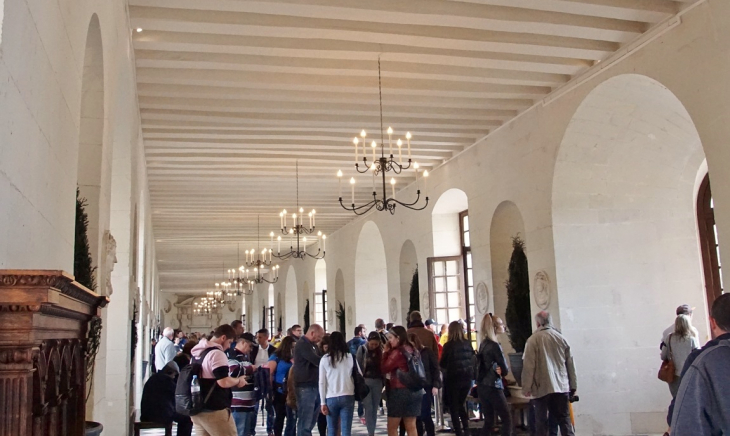 Le Château ( Intérieure ) - Chenonceaux