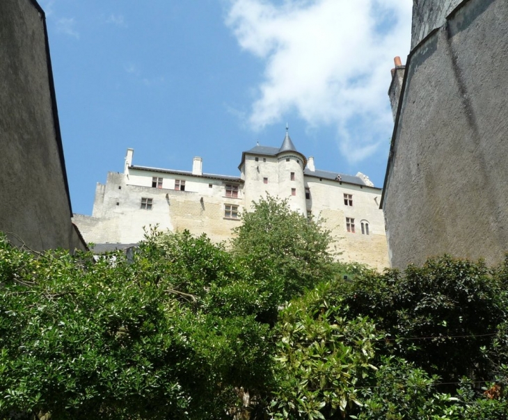 Chateau Toitures neuves - Chinon