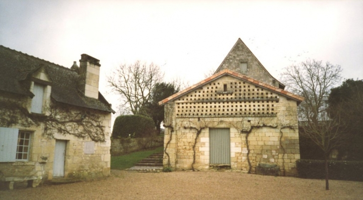 Maison Natale de Rabelais : La DEVINIERE - Chinon