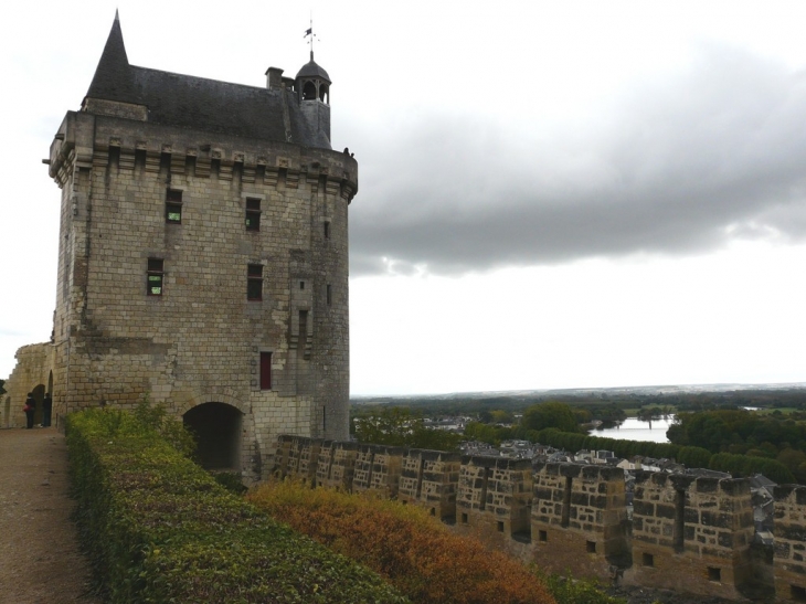 Chinon