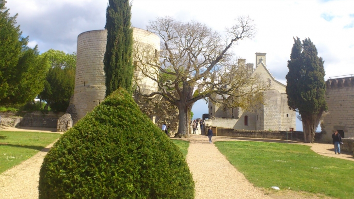 Vue d'ensemble Chinon photo Giliane Kaltenbach