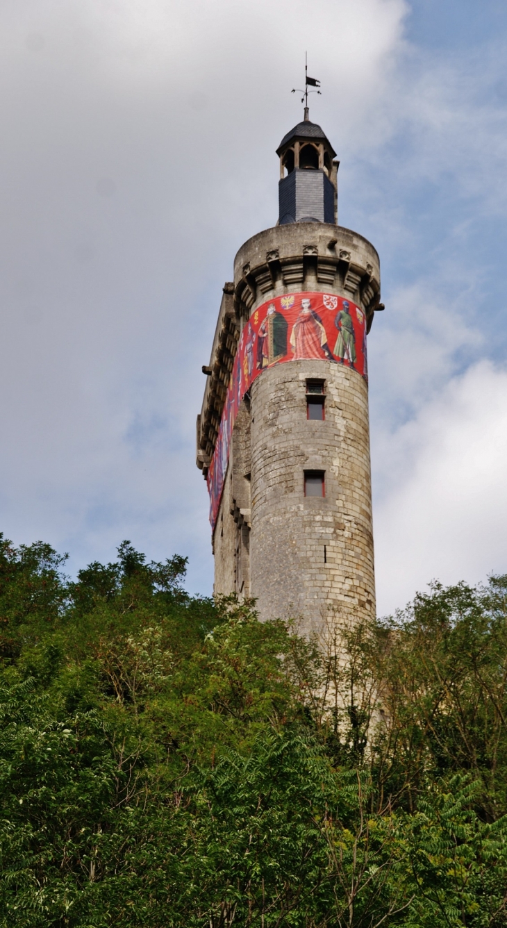 Le Château - Chinon