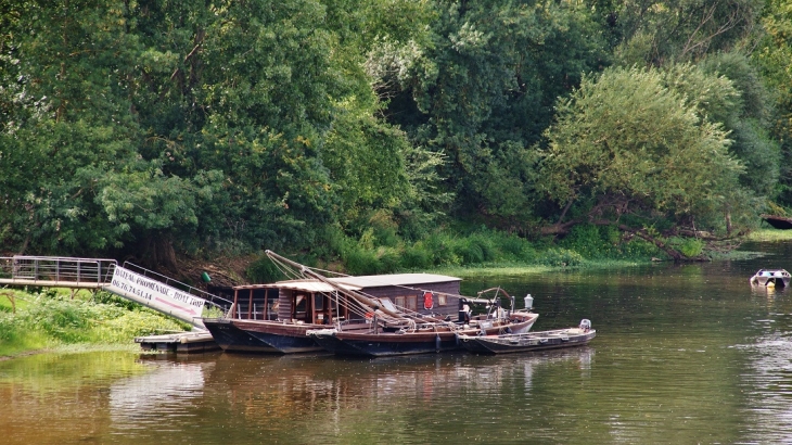 La Vienne - Chinon