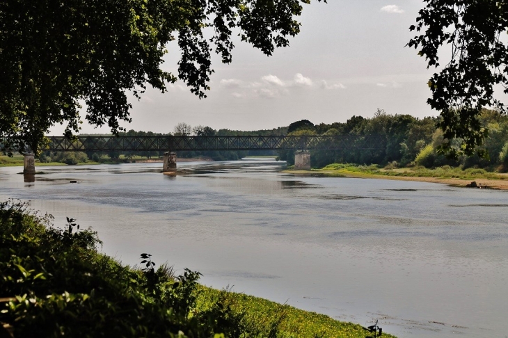 La Vienne - Chinon