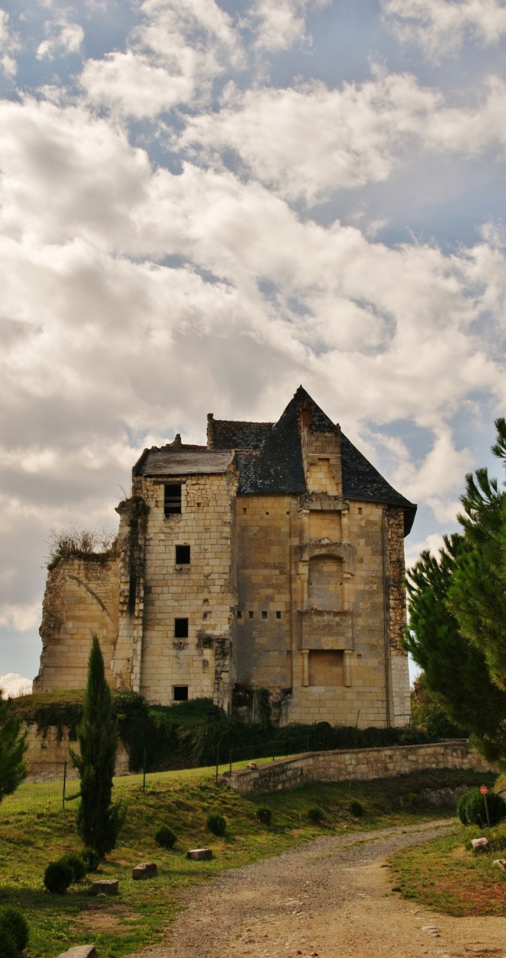 Le Château - Crissay-sur-Manse