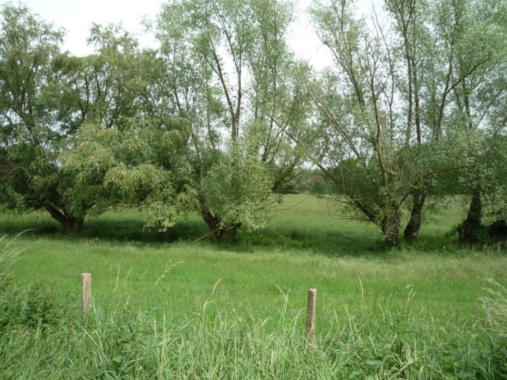 Trognes - L'Île-Bouchard