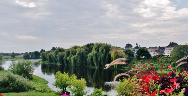 La Vienne - L'Île-Bouchard