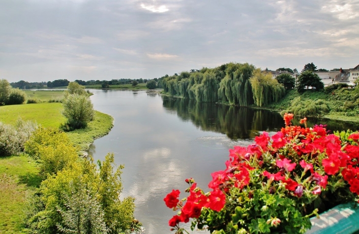 La Vienne - L'Île-Bouchard