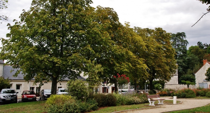 Le Village - La Chapelle-Blanche-Saint-Martin