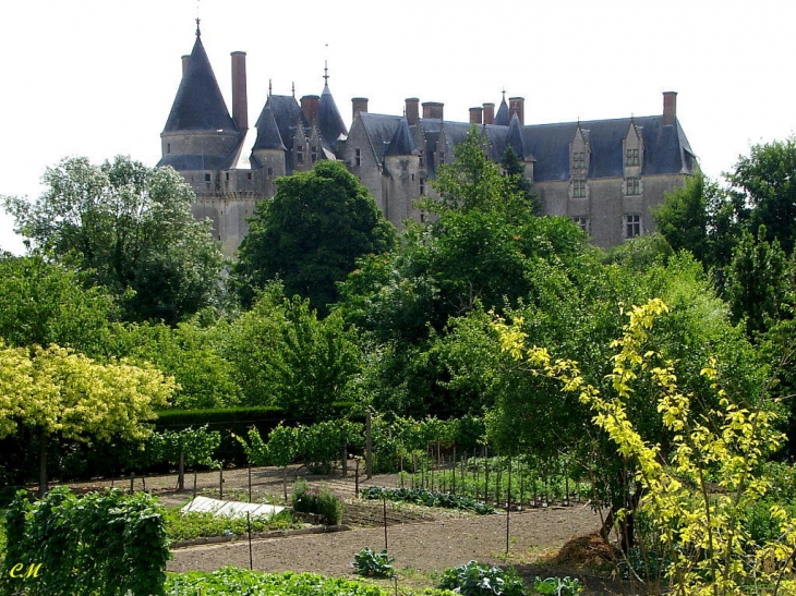 Chateau de Langeais