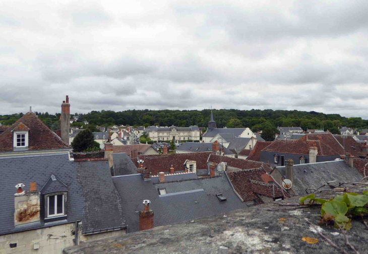 Vue sur les toits de la ville - Loches