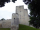 Photo suivante de Loches la Cité Royale : le donjon médiéval