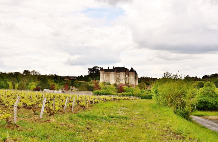 Le Château - Luynes