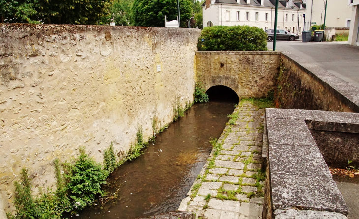 La Cisse - Pocé-sur-Cisse