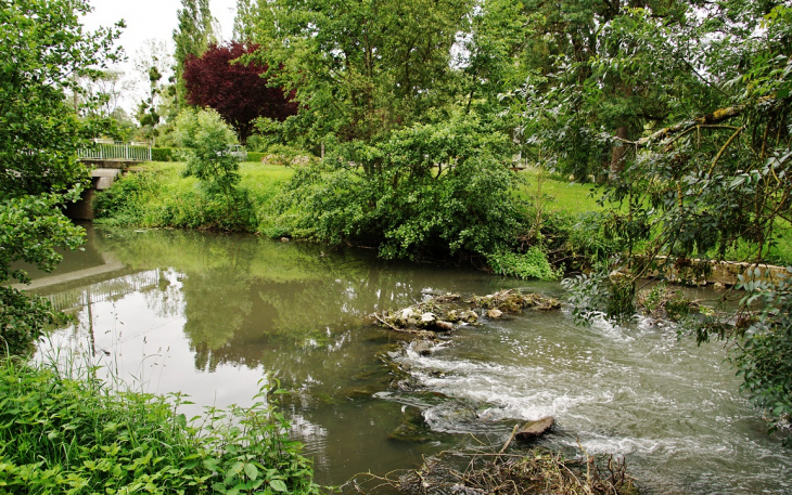 La Brenne - Reugny