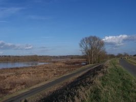 Bord de Loire - Saint-Genouph