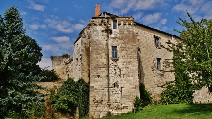 Centre Historique ( Le Château ) - Sainte-Maure-de-Touraine