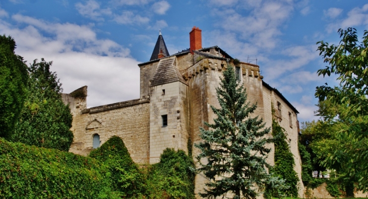 Centre Historique ( Le Château ) - Sainte-Maure-de-Touraine