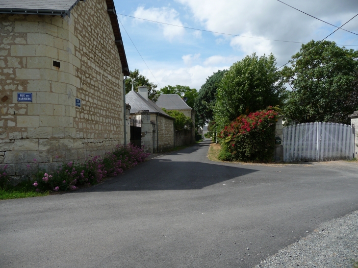 Bertignolles rue du port - Savigny-en-Véron