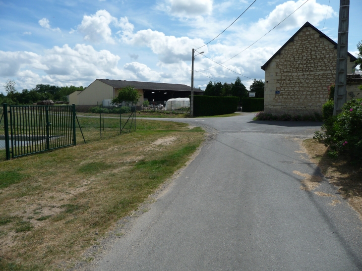 Bertignolles rue des bateliers - Savigny-en-Véron