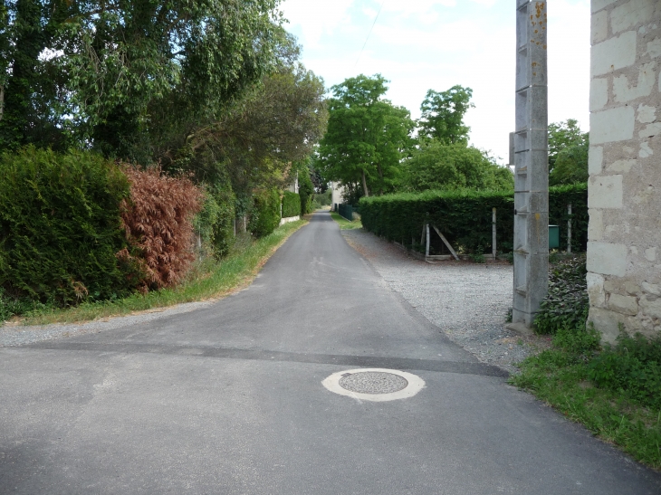 Bertignolles rue du port  - Savigny-en-Véron