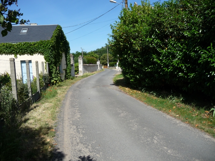 Bertignolles rue des bateliers - Savigny-en-Véron