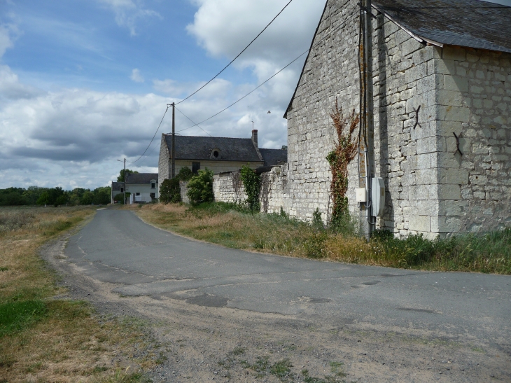 Bertignolles rue des mariniers - Savigny-en-Véron