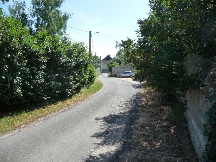 Bertignolles rue des bateliers - Savigny-en-Véron