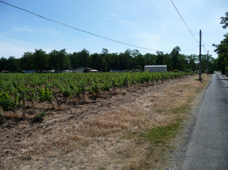 Bertignolles rue des passeurs - Savigny-en-Véron