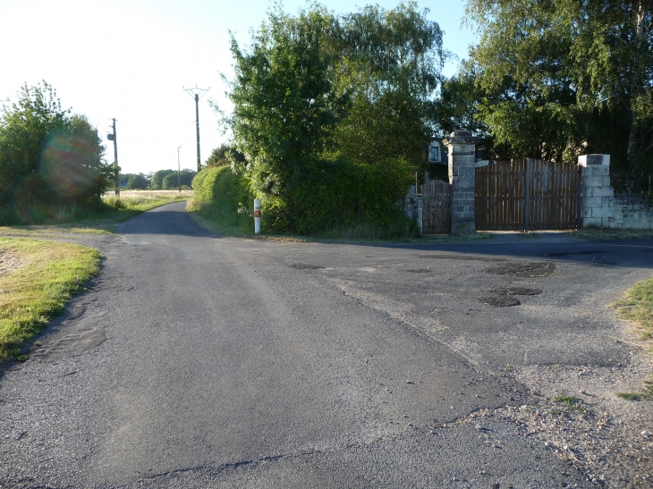 La noue - Savigny-en-Véron