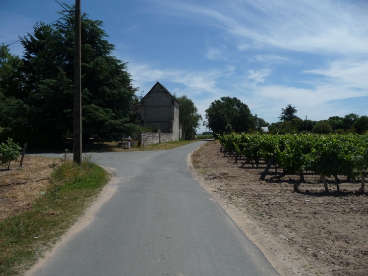 La popliniere : rue de la sauvagere - Savigny-en-Véron