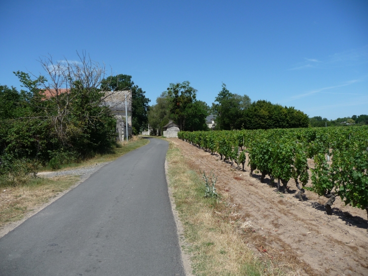 La popliniere : rue de la sauvagere - Savigny-en-Véron