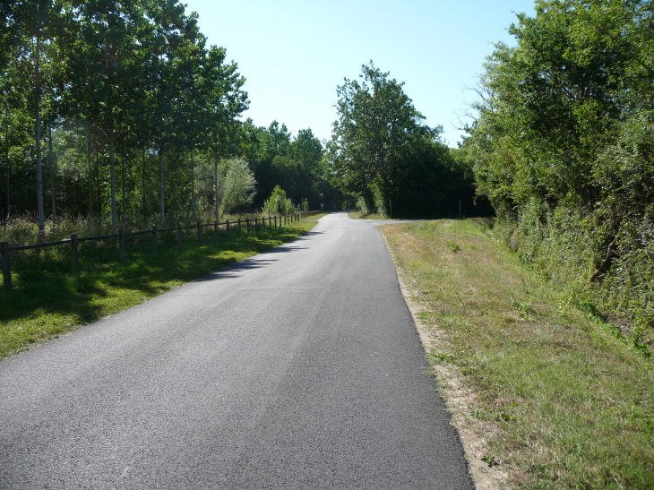 Le petit raiffault :rue basse - Savigny-en-Véron