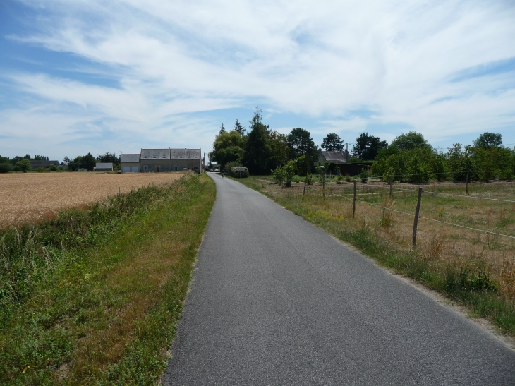 Les places: rue de la chenaie - Savigny-en-Véron