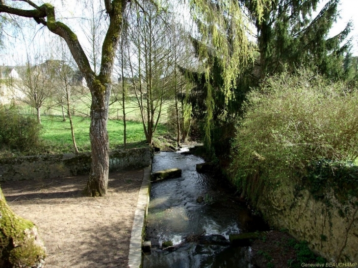 Un des nombreux cours d'eau de Semblançay