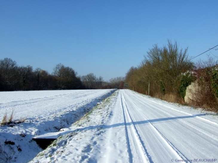 Route de Neuillé-Pont-Pierre - Semblançay